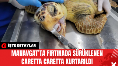 Manavgat’ta Fırtınada Sürüklenen Caretta Caretta Kurtarıldı