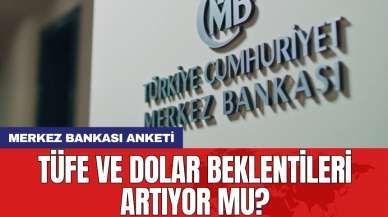 Merkez Bankası anketi: TÜFE ve dolar beklentileri artıyor mu?