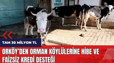 ORKÖY'den orman köylülerine hibe ve faizsiz kredi desteği