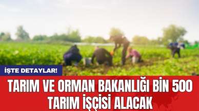 Tarım ve Orman Bakanlığı bin 500 tarım işçisi alacak