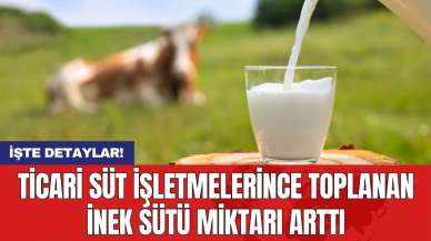 Ticari süt işletmelerince toplanan inek sütü miktarı arttı