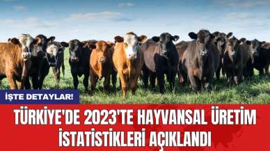 Türkiye'de 2023'te hayvansal üretim istatistikleri açıklandı