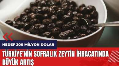 Türkiye'nin sofralık zeytin ihracatında büyük artış