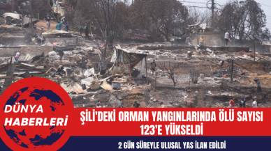 Şili'deki Orman Yangınlarında Ölü Sayısı 123'e Yükseldi