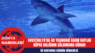 Avustralya'da 40 Yaşındaki Kadın Kaplan Köpek Balığının Saldırısına Uğradı