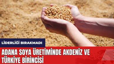 Adana soya üretiminde Akdeniz ve Türkiye birincisi