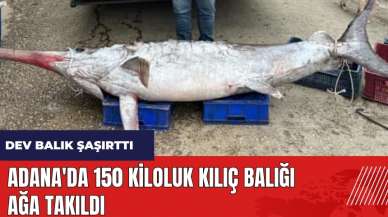 Adana'da 150 kiloluk kılıç balığı ağa takıldı