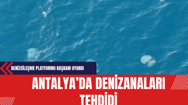 Antalya’da Denizanaları Tehdidi: Denizcileşme Platformu Başkanı Uyardı