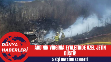 ABD'nin Virginia Eyaletinde Özel Jetin Düşmesi Sonucu 5 Kişi Hayatını Kaybetti