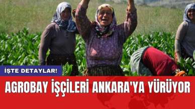 Agrobay işçileri Ankara'ya yürüyor