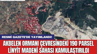 Akbelen Ormanı çevresindeki 190 parsel linyit madeni sahası kamulaştırıldı