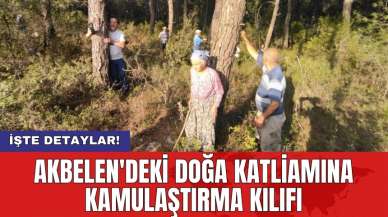 Akbelen'deki doğa katliamına kamulaştırma kılıfı