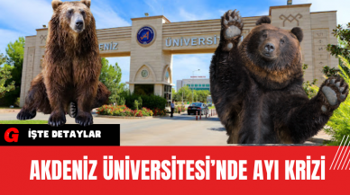 Akdeniz Üniversitesi’nde Ayı Krizi