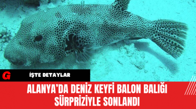 Alanya’da Deniz Keyfi Balon Balığı Sürpriziyle Sonlandı