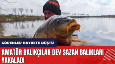 Amatör balıkçılar dev sazan balıkları yakaladı