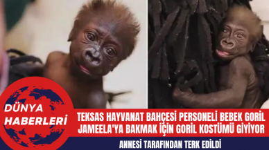 Teksas Hayvanat Bahçesi Personeli Bebek Goril Jameela'ya Bakmak İçin Goril Kostümü Giyiyor