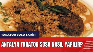 Antalya tarator sosu nasıl yapılır? Tarator sosu tarifi