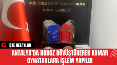 Antalya’da Horoz Dövüştürerek Kumar Oynatanlara İşlem Yapıldı