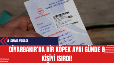 Diyarbakır’da Bir Köpek Aynı Günde 8 Kişiyi Isırdı!