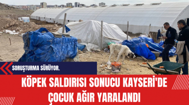 Köpek Saldırısı Sonucu Kayseri'de Çocuk Ağır Yaralandı