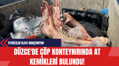 Düzce'de Çöp Konteynırında At Kemikleri Bulundu! Yetkililer Olayı Araştırıyor