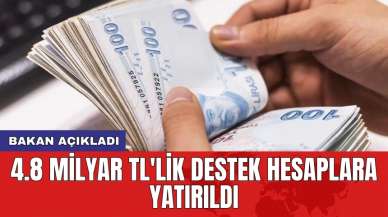 Bakan açıkladı: 4.8 milyar TL'lik destek hesaplara yatırıldı