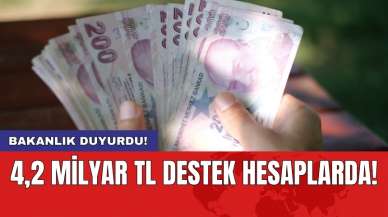 Bakanlık duyurdu! 4,2 milyar TL destek hesaplarda!