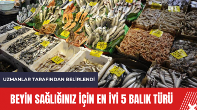 Beyin sağlığınız için en iyi 5 balık türü: Uzmanlar tarafından belirlendi