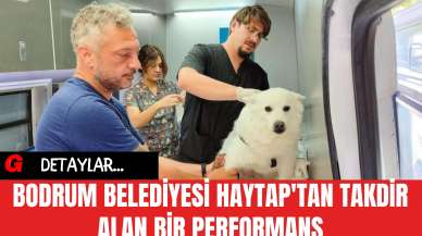 Bodrum Belediyesi HAYTAP'tan Takdir Alan Bir Performans