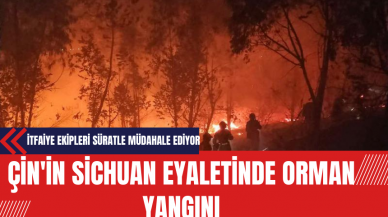 Çin'in Sichuan Eyaletinde Orman Yangını: İtfaiye Ekipleri Süratle Müdahale Ediyor