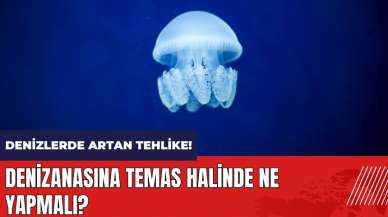 Denizlerde artan tehlike! Denizanasına temas halinde ne yapmalı?