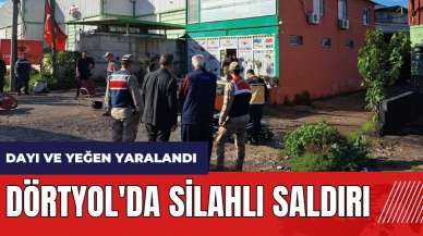 Dörtyol'da silahlı saldırı: Dayı ve yeğen yaralandı