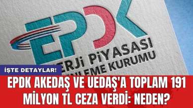 EPDK AKEDAŞ ve UEDAŞ'a toplam 191 milyon TL ceza verdi: Neden?