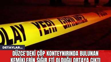 Düzce'deki Çöp Konteynırında Bulunan Kemiklerin Sığır Eti Olduğu Ortaya Çıktı