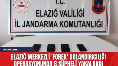 Elazığ Merkezli 'Forex' Dolandırıcılığı Operasyonunda 8 Şüpheli Yakalandı