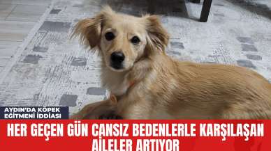 Aydın'da Köpek Eğitmeni İddiası: Her Geçen Gün Cansız Bedenlerle Karşılaşan Aileler Artıyor