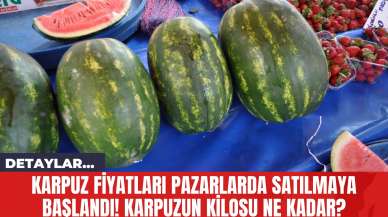 Karpuz Pazarlarda Satılmaya Başlandı! Karpuzun Kilosu Ne Kadar?