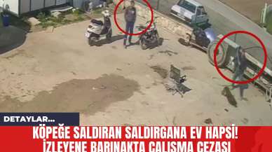 Köpeğe Saldıran Saldırgana Ev Hapsi! İzleyene Barınakta Çalışma Cezası