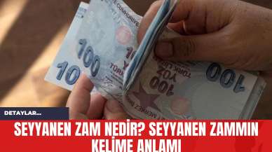 Seyyanen Zam Nedir? Seyyanen Zammın Kelime Anlamı