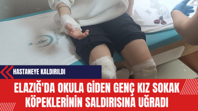 Elazığ'da Okula Giden Genç Kız Sokak Köpeklerinin Saldırısına Uğradı