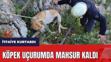 Hatay'da köpek uçurumda mahsur kaldı