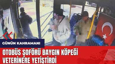 Isparta'da otobüs şoförü baygın köpeği veterinere yetiştirdi