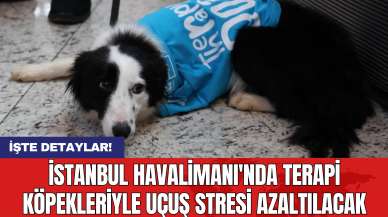 İstanbul Havalimanı'nda Terapi Köpekleriyle Uçuş Stresi Azaltılacak