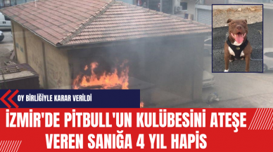 İzmir'de Pitbull'un Kulübesini Ateşe Veren Sanığa 4 Yıl Hapis