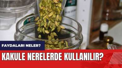 Kakule nerelerde kullanılır? Kakulenin faydaları nelerdir?