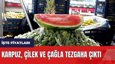 Karpuz çilek ve çağla tezgaha çıktı