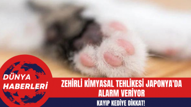 Kayıp Kediye Dikkat! Zehirli Kimyasal Tehlikesi Japonya'da Alarm Veriyor