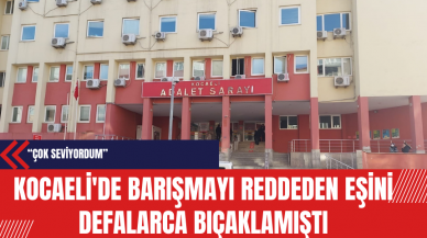 Kocaeli'de Barışmayı Reddeden Eşini Defalarca Bıçaklamıştı: 'Çok Seviyordum'