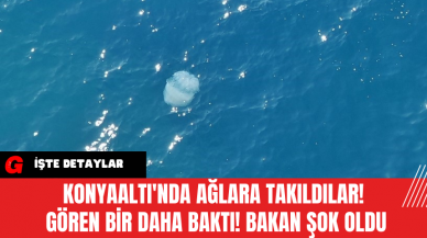 Konyaaltı'nda Ağlara Takıldılar! Gören Bir Daha Baktı! Bakan Şok Oldu