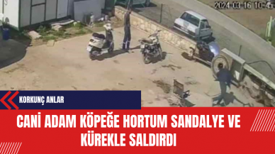 Cani Adam Köpeğe Hortum Sandalye ve Kürekle Saldırdı